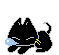 黒猫ちゃん♪